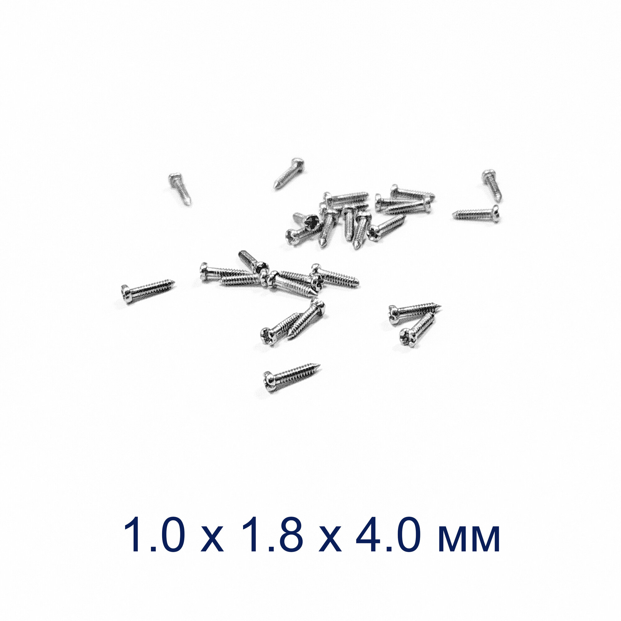 Винт М1.0*1.8*4.0 мм для носовых упоров серебристый (10шт)