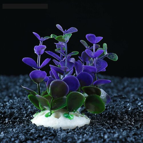 Растение искусственное аквариумное кустовое, 10 см, фиолетовое 1шт
