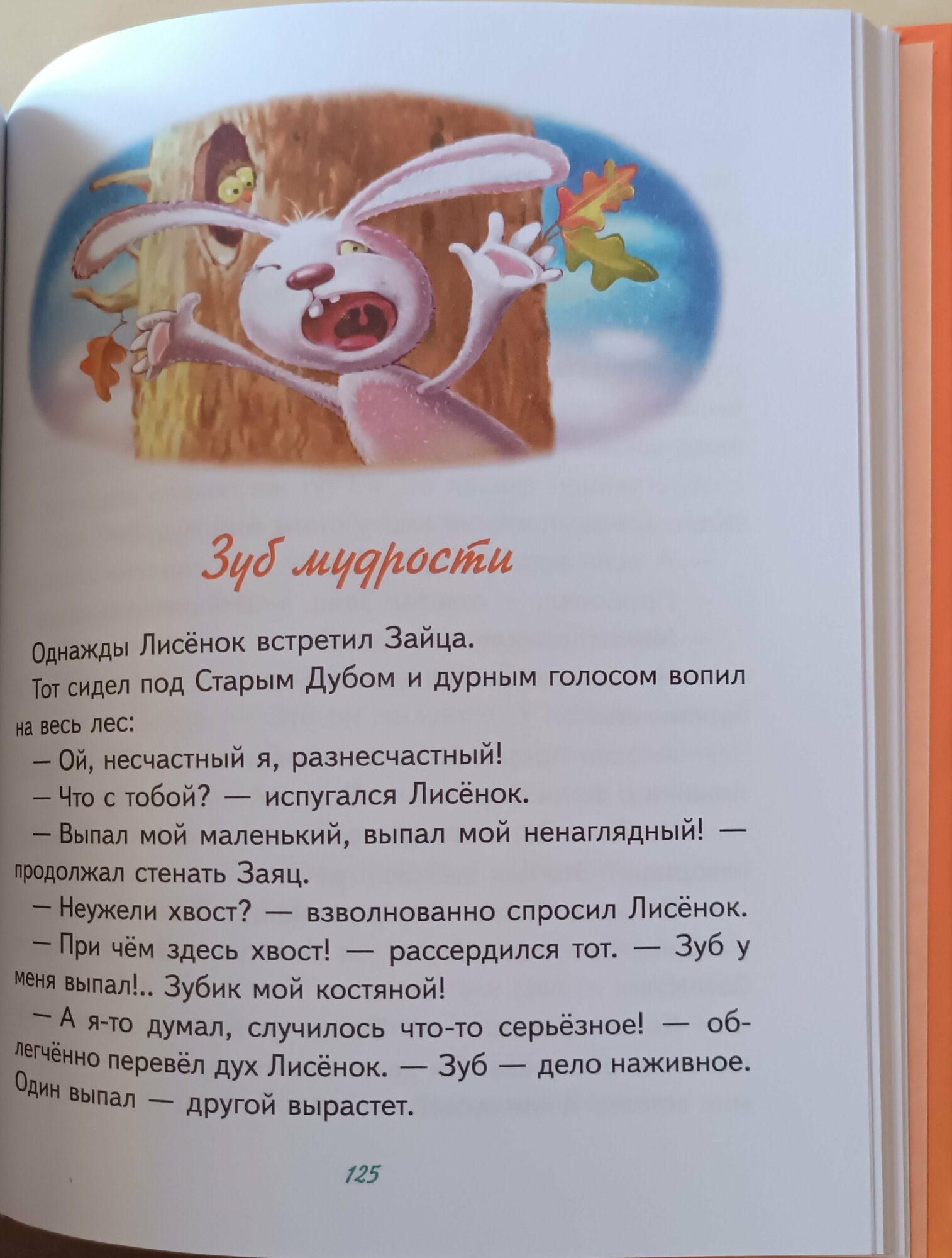 Сказки маленького лисёнка (Фарбаржевич Игорь) - фото №12