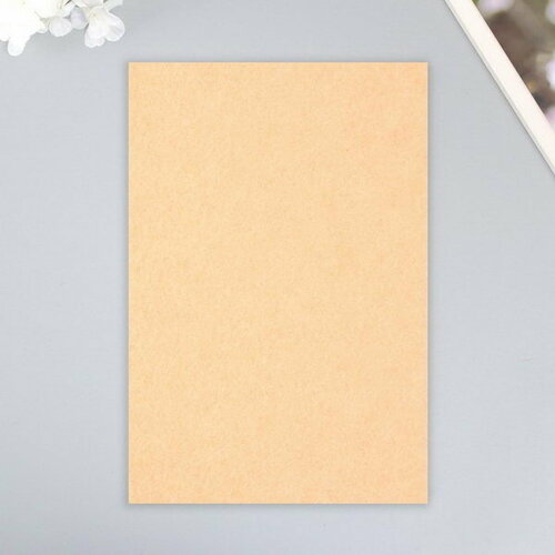 Набор жесткого фетра Астра 261₽