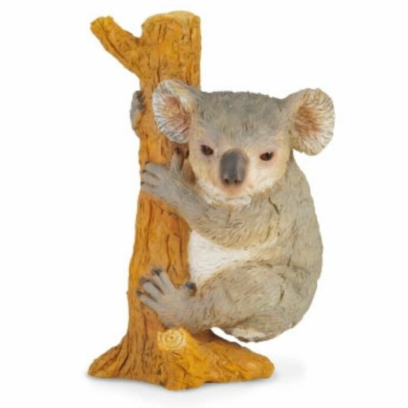 Фигурка Collecta Коала на дереве, М 88356b