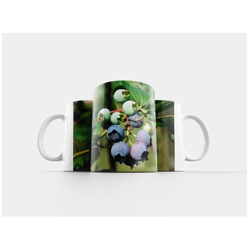 фото Кружка "фрукты, черника, природа" 320 мл lotsprints