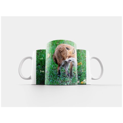 фото Кружка "лиса, рыжая лиса, дикое животное" 320 мл lotsprints