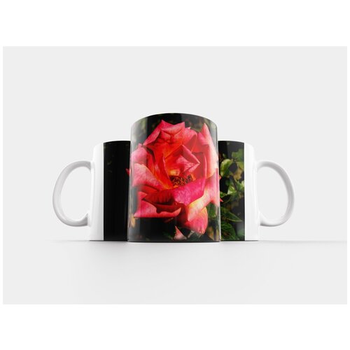 фото Кружка "цветок, природа, сад" 320 мл lotsprints