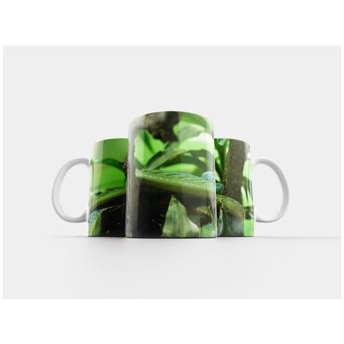 фото Кружка "зеленая мамба, dendroaspis viridis, настоящие ядовитые змеи" 320 мл lotsprints