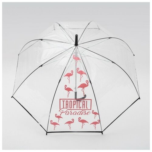 Зонт-купол Tropical Paradise, 8 спиц, d 88 см, прозрачный