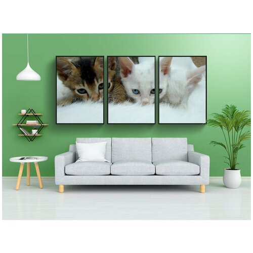 фото Набор модулных постеров для интерьера "кошки, пить молоко, морда кошки" 60x90 см. в тубусе, без рамки lotsprints