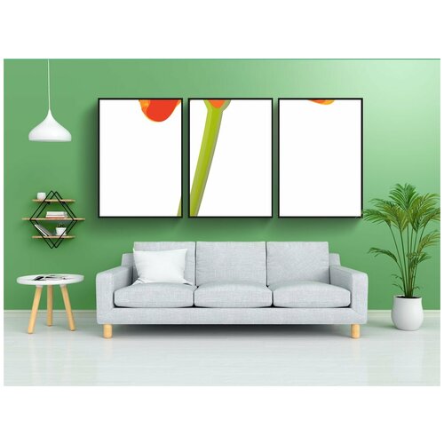 фото Набор модулных постеров для интерьера "цветок, апельсин, не замужем" 60x90 см. в тубусе, без рамки lotsprints