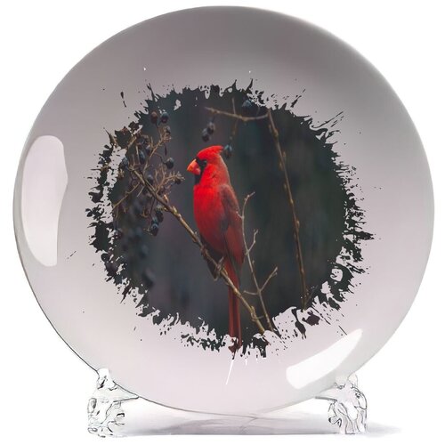 фото Тарелка красная птица на черном фоне coolpodarok