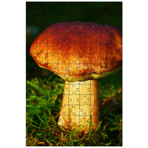 фото Магнитный пазл 27x18см."белый гриб, гриб, шапка" на холодильник lotsprints