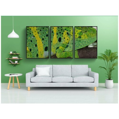 фото Набор модулных постеров для интерьера "обыкновенный хамелеон, европейский хамелеон, chamaeleo chamaeleon" 60x90 см. в тубусе, без рамки lotsprints