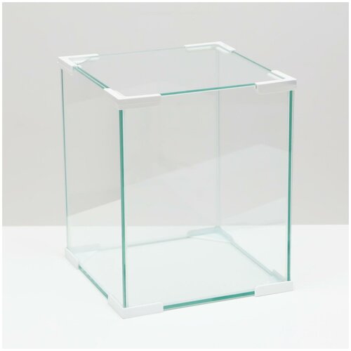 Аквариум Куб белый уголок, покровное стекло, 31л, 300 x 300 x 35 см
