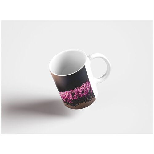 фото Кружка "бабочка, большой бычий глаз, мужской 320 мл. белая lotsprints