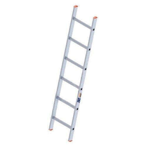 Лестница односекционная TeaM S4106