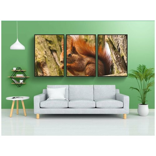 фото Набор модулных постеров для интерьера "белка, грызун, собирательство" 60x90 см. в тубусе, без рамки lotsprints