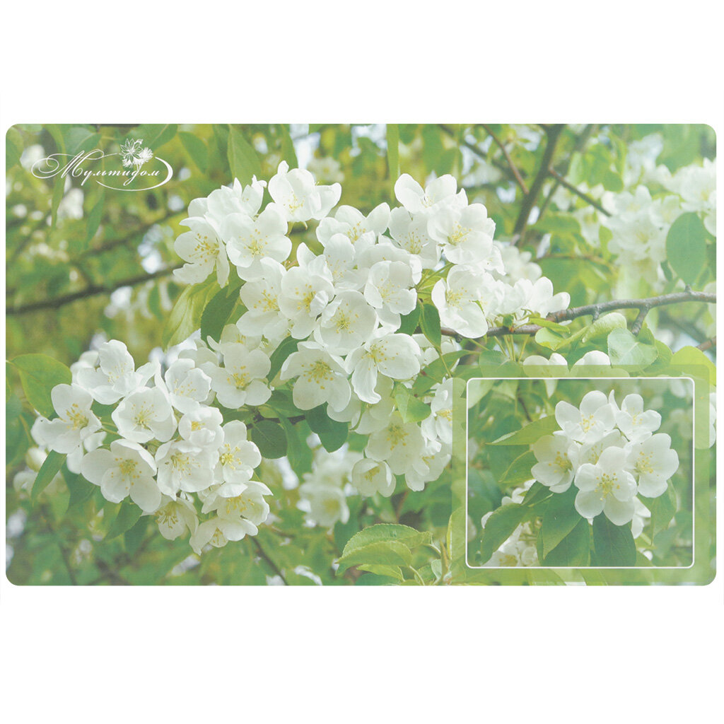 фото Салфетка под горячее пластик, 44х28 см, Мультидом, Цветущая яблоня, FJ51-7