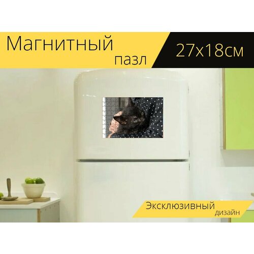 Магнитный пазл Кошка, котенок, черная кошка на холодильник 27 x 18 см.