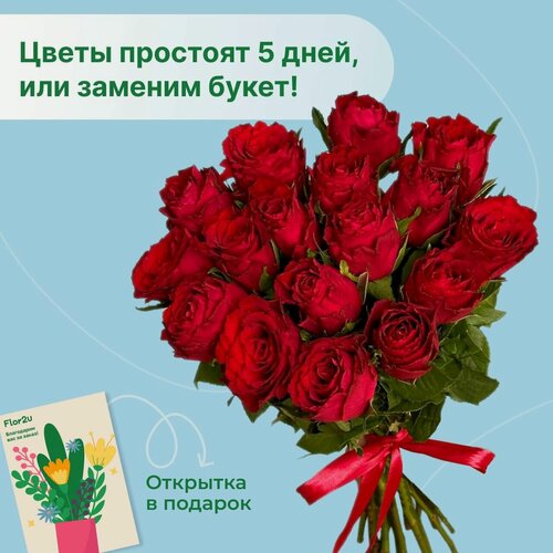 Изображение товара Цветы живые букет из 15 красных роз 35 см с атласной лентой Flor2u
