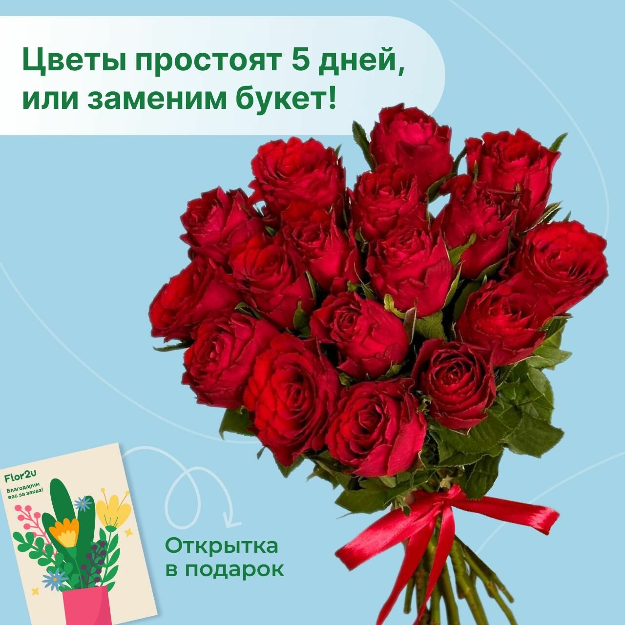 Букет живых цветов из 15 красных роз 35 см с лентой