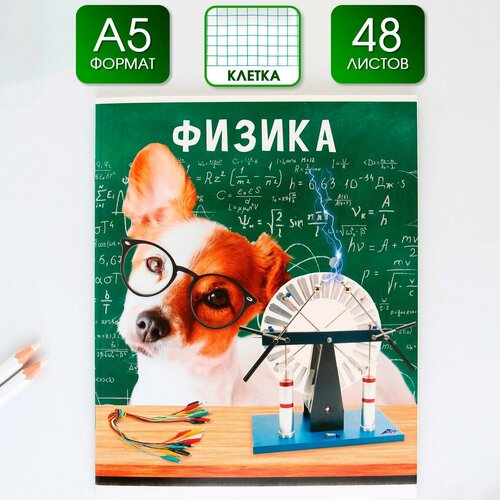 Предметная тетрадь 48 листов милые питомцы со справочными материалами Физика обложка мелованный картон 230 гр внутренний блок в клетку 80 гр белизна 96 блок 1 1шт 303₽