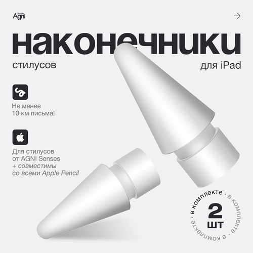 Наконечники для стилусов iPad и Apple Pencil 2 штуки 750₽