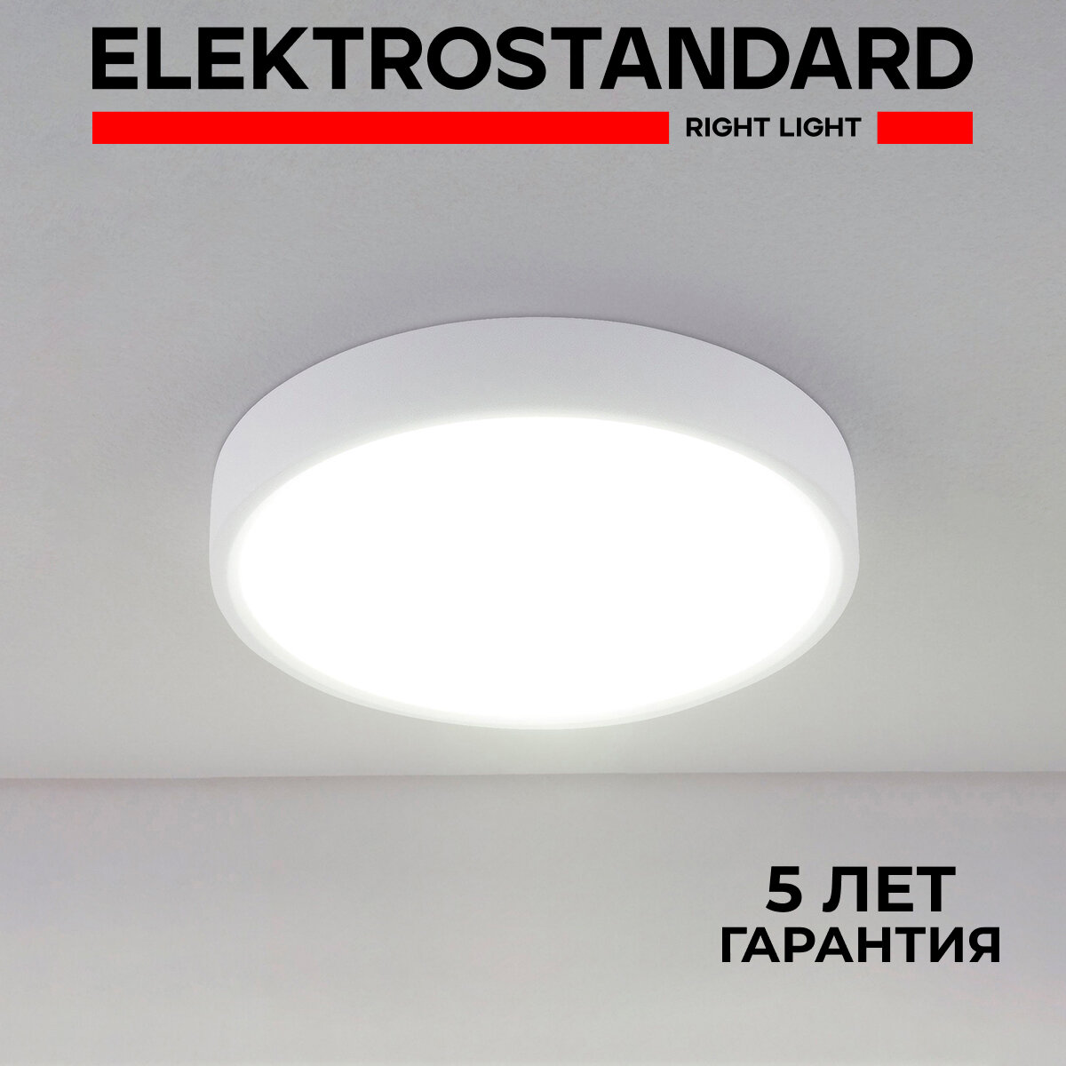 Стационарный светодиодный светильник Elektrostandard DLS034