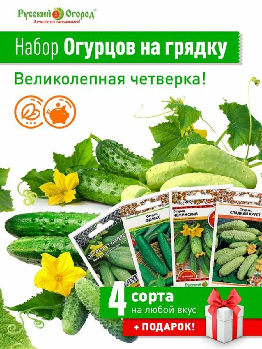 Набор семян Огурцов на грядку!