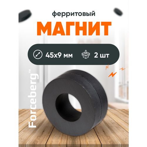 Ферритовый магнит кольцо Forceberg 45х22х9 мм, 2 шт