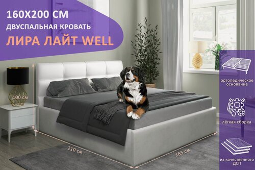 Изображение товара Кровать двуспальная Лира Лайт WELL 160x200 см, с ортопедическим подъемным механизмом, без ножек, цвет молочный