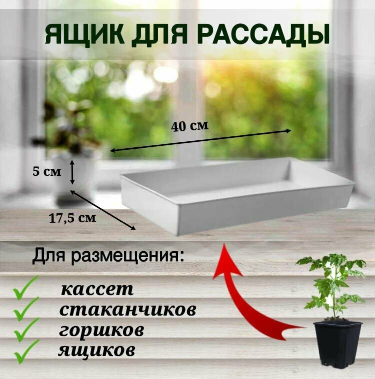 Ящик для выращивания рассады поддон для цветов и растений длинные горшки для микрозелени. Белый.