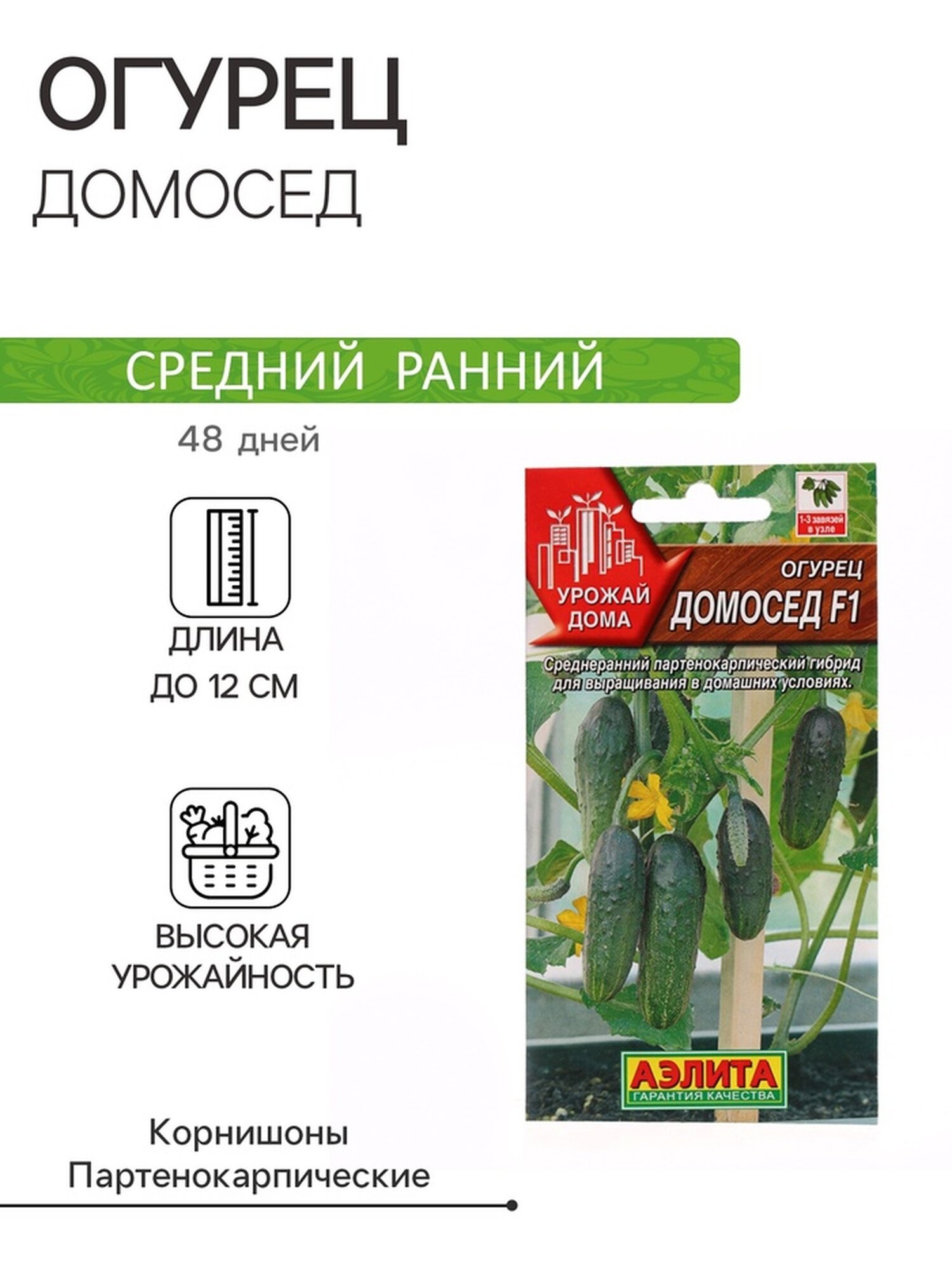 Семена огурца 