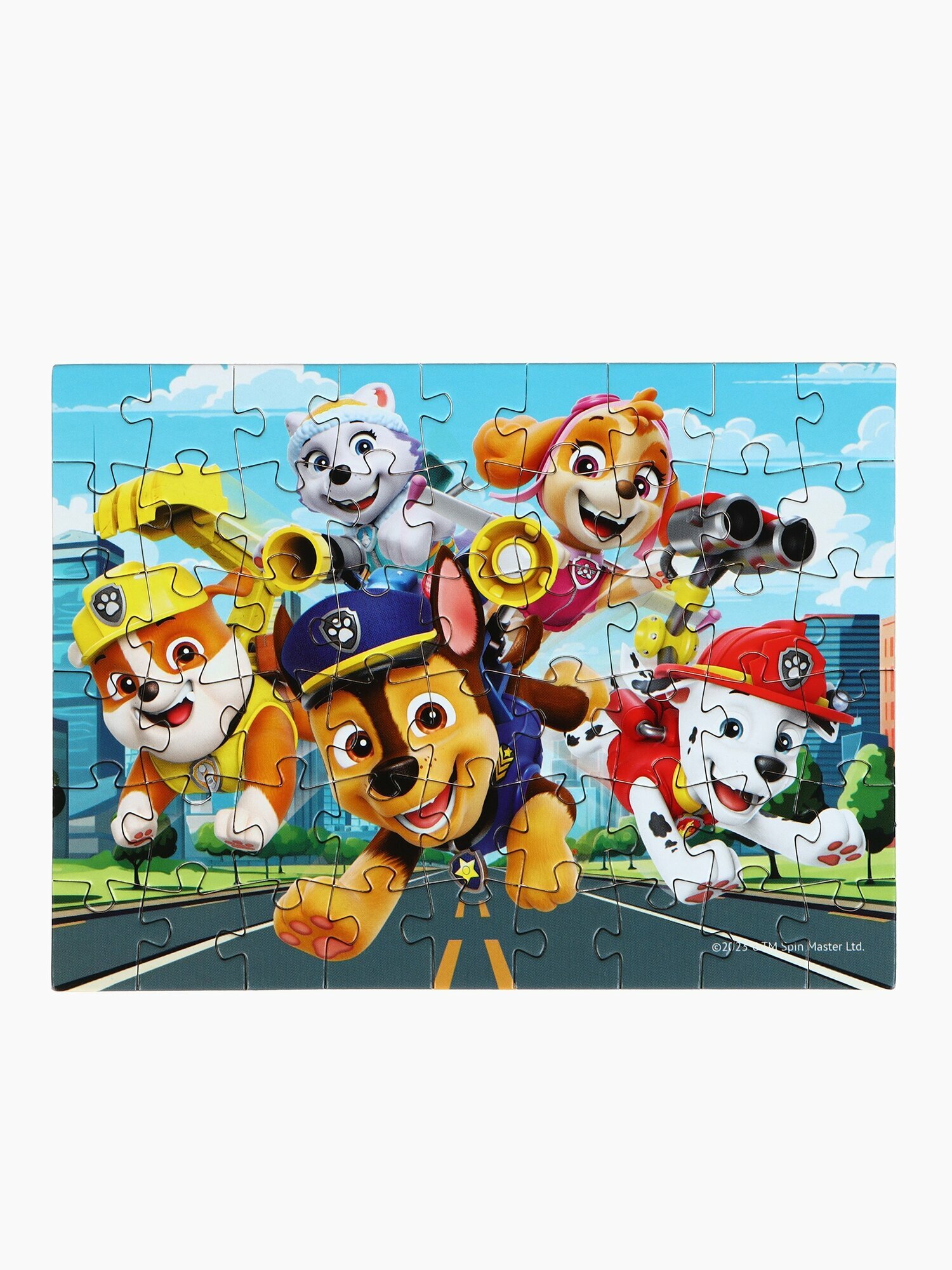 Пазлы детские «Щенячий патруль», набор 10 шт, 54 детали, Paw Patrol