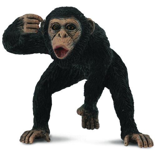 Фигурка Collecta Самец Шимпанзе 88492, 5.5 см фигурка schleich шимпанзе самец