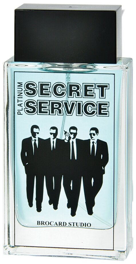 Одеколон мужской Secret Service Platinum, 100 мл