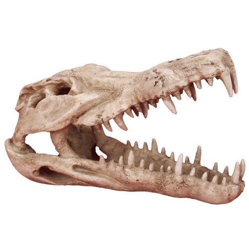 Декорация для аквариума Череп крокодила пластиковая, 25 х 11,2 х 15,2 см, PRIME (1 шт)