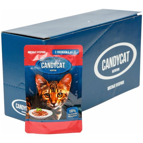 Пауч CANDYCAT Мясные кусочки для кошек с лососем в желе 85г