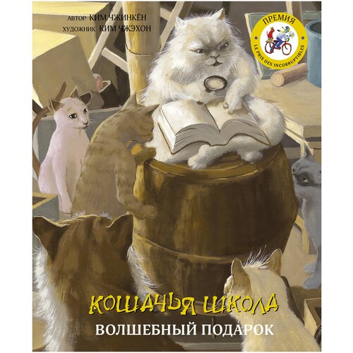 Чжинкён К. "Кошачья школа: Волшебный подарок"