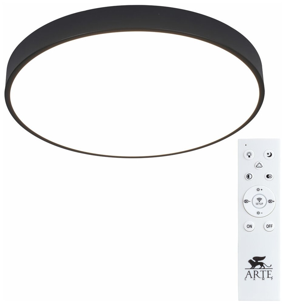 Потолочный светильник Arte Lamp Arena A2672PL-1BK E27