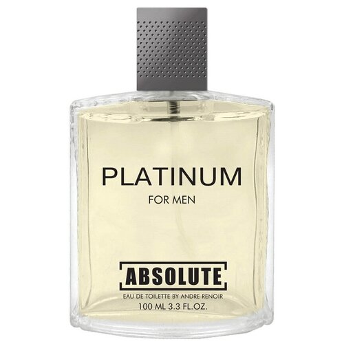 Today Parfum туалетная вода Absolute Platinum, 100 мл, 264 г туалетная вода мужская platinum elements 100 мл