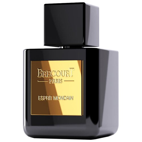 Парфюмерная вода Brecourt Esprit Mondain 100 мл.