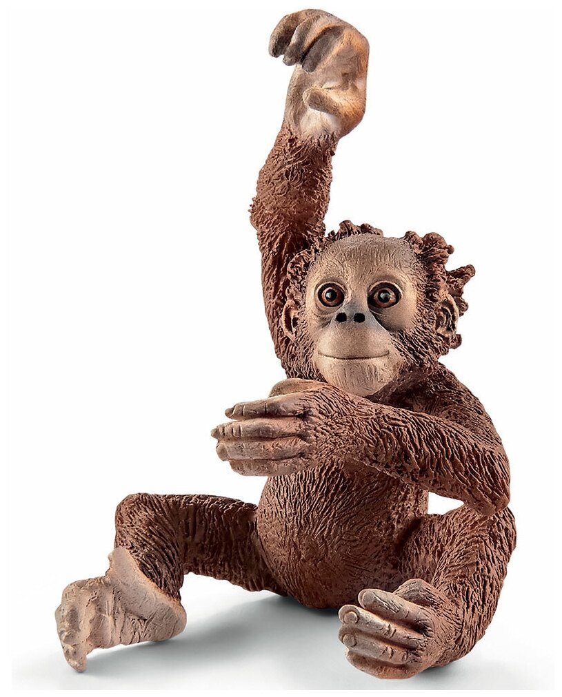 Фигурка Schleich Орангутан детеныш 14776, 5.5 см