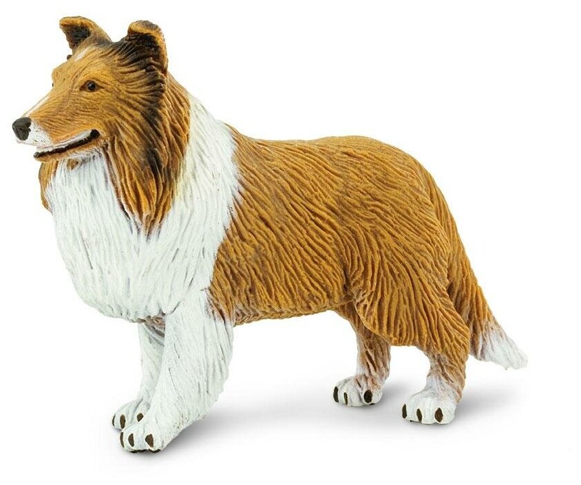 Фигурка собаки Safari Ltd Колли, для детей, игрушка коллекционная, 239329