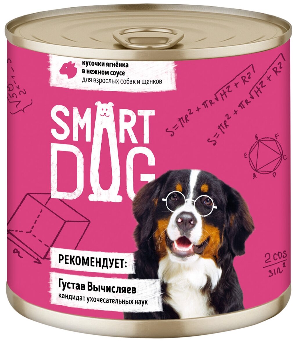 Smart Dog консервы Консервы для взрослых собак и щенков кусочки ягненка в нежном соусе 22ел16 43736, 0,850 кг