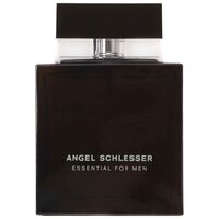 Angel Schlesser Essential for Men Туалетная вода для мужчин 100мл