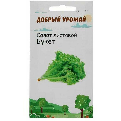 Семена Салат листовой Букет 0,2 гр .5 уп. семена салат листовой букет 0 2 гр 5 шт