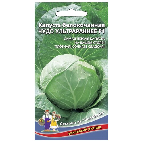 Семена Уральский дачник из Голландии Капуста белокочанная Чудо ультрараннее F1 0.3 г
