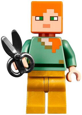 LEGO Minecraft 21134 729