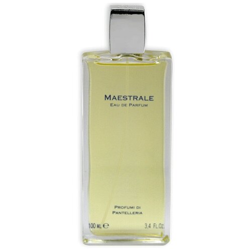 Profumi di Pantelleria Maestrale духи 100 мл для мужчин
