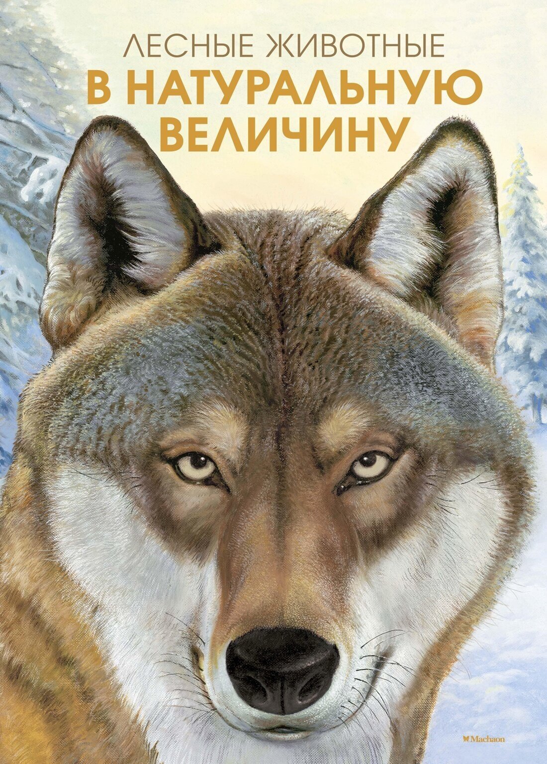 Книга Лесные животные в натуральную величину