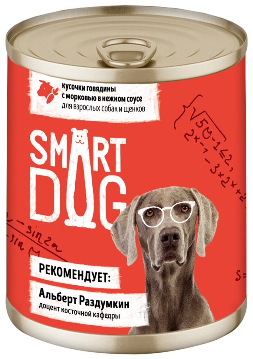 Smart Dog консервы Консервы для взрослых собак и щенков кусочки говядины с морковью в нежном соусе 22ел16 43737 0,24 кг 43737 (10 шт)